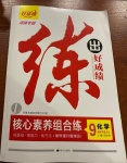 2021年練出好成績九年級化學下冊人教版河南專版