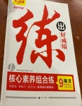 2021年練出好成績九年級語文下冊人教版河南專版