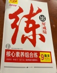 2021年练出好成绩九年级语文下册人教版河南专版