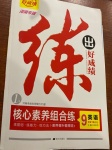 2021年練出好成績九年級英語下冊人教版河南專版