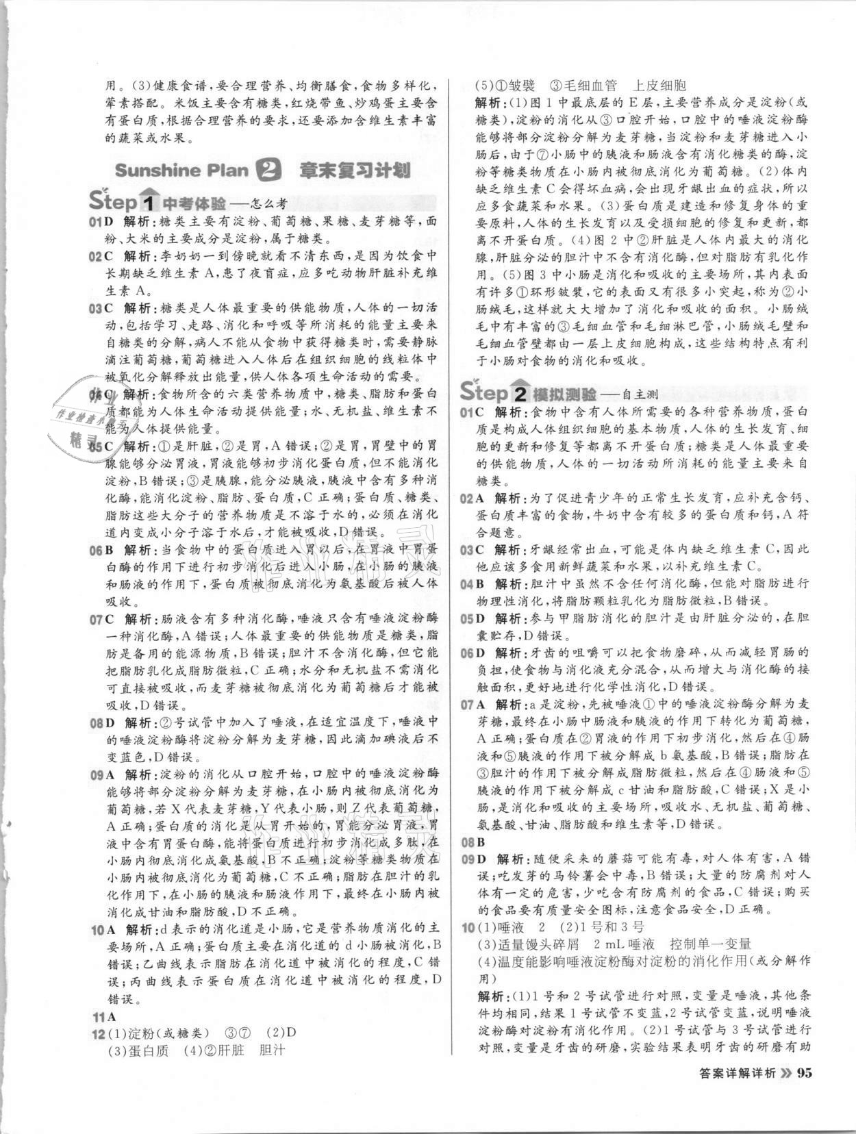 2021年陽光計(jì)劃初中同步七年級(jí)生物下冊(cè)濟(jì)南版 第3頁