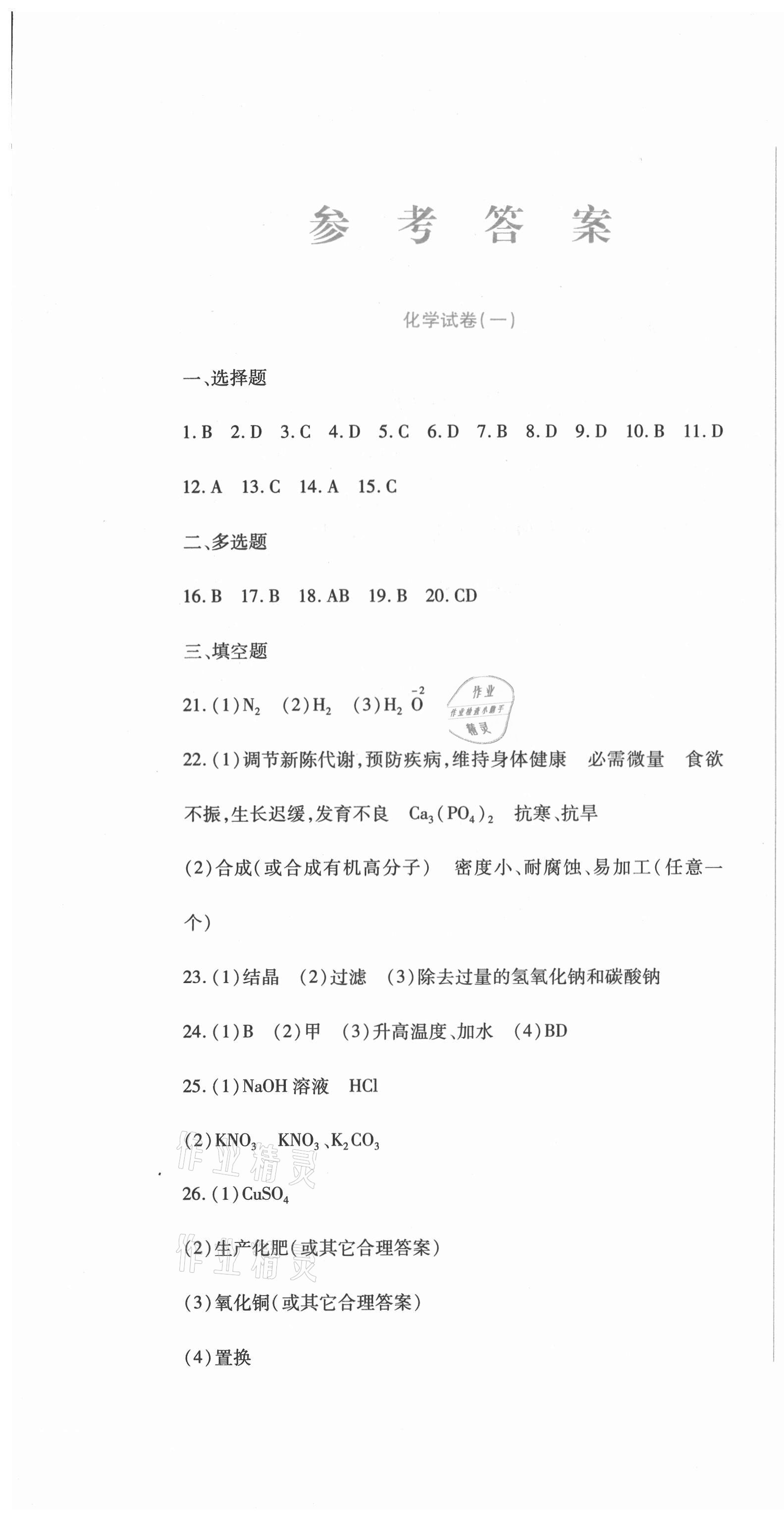 2021年中考加分仿真模擬必刷卷化學龍東專版 第1頁