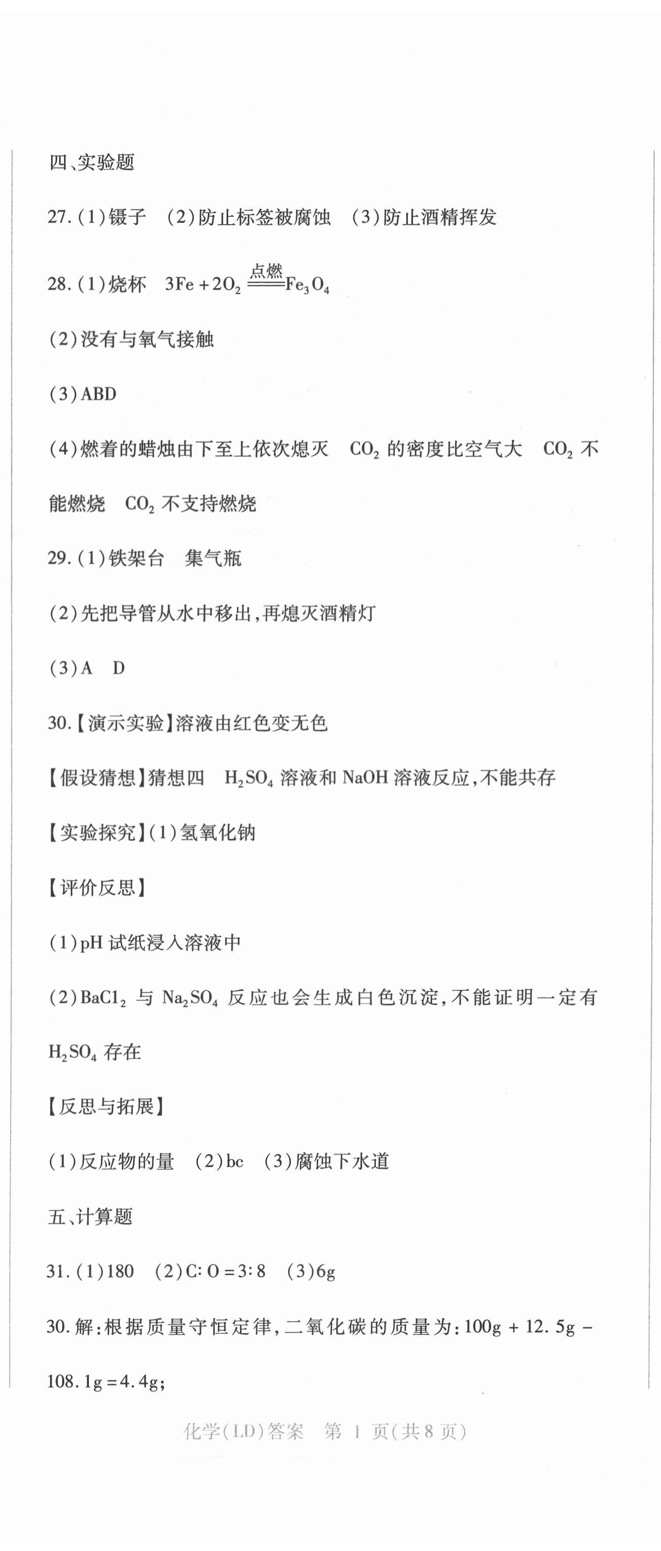2021年中考加分仿真模擬必刷卷化學(xué)龍東專版 第2頁
