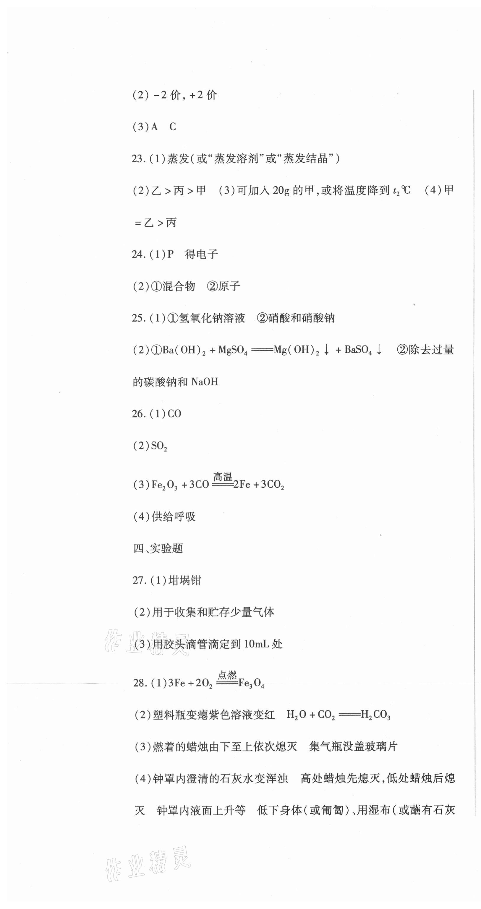 2021年中考加分仿真模擬必刷卷化學龍東專版 第4頁