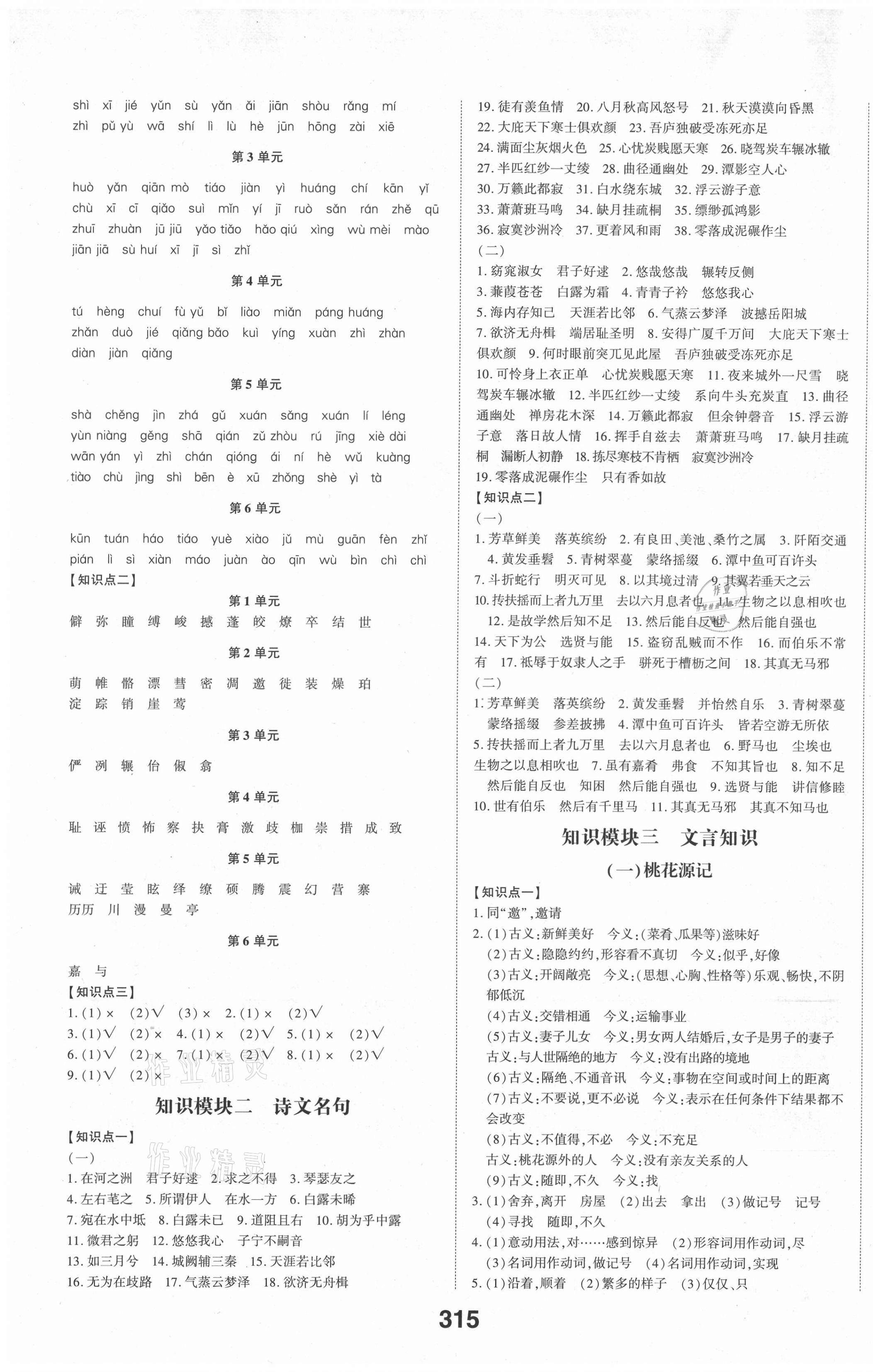 2021年中考備戰(zhàn)語(yǔ)文棗莊專(zhuān)版 第9頁(yè)