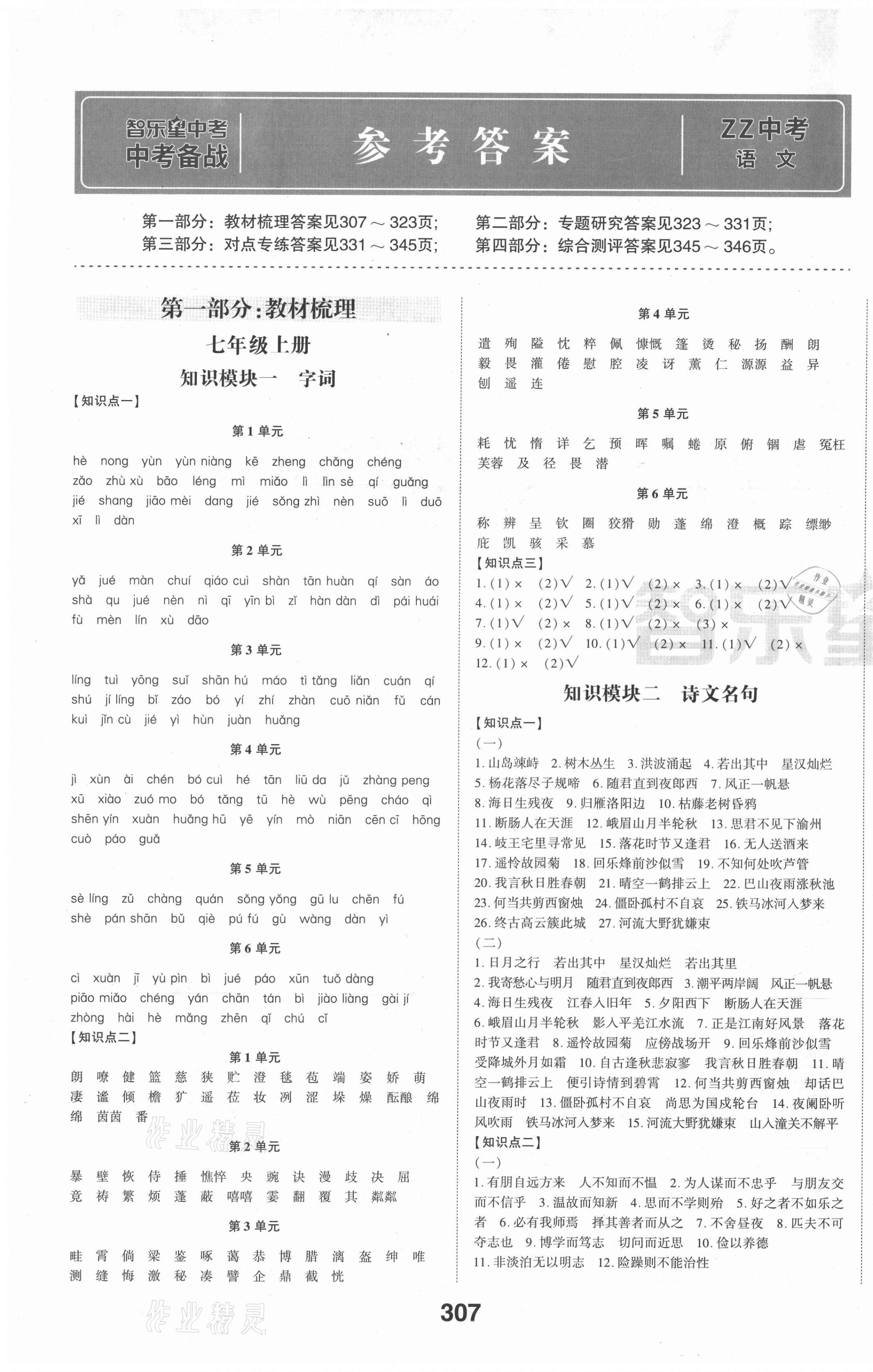 2021年中考備戰(zhàn)語文棗莊專版 第1頁