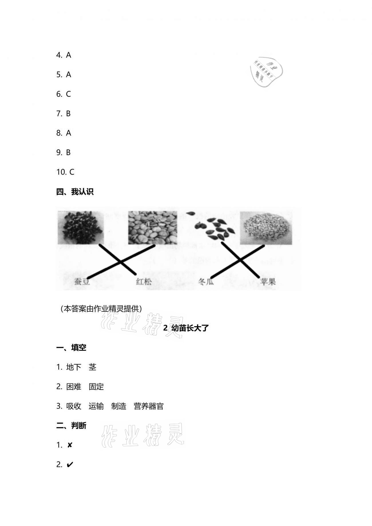 2021年云南省標(biāo)準(zhǔn)教輔同步指導(dǎo)訓(xùn)練與檢測(cè)三年級(jí)科學(xué)下冊(cè)蘇教版 參考答案第2頁