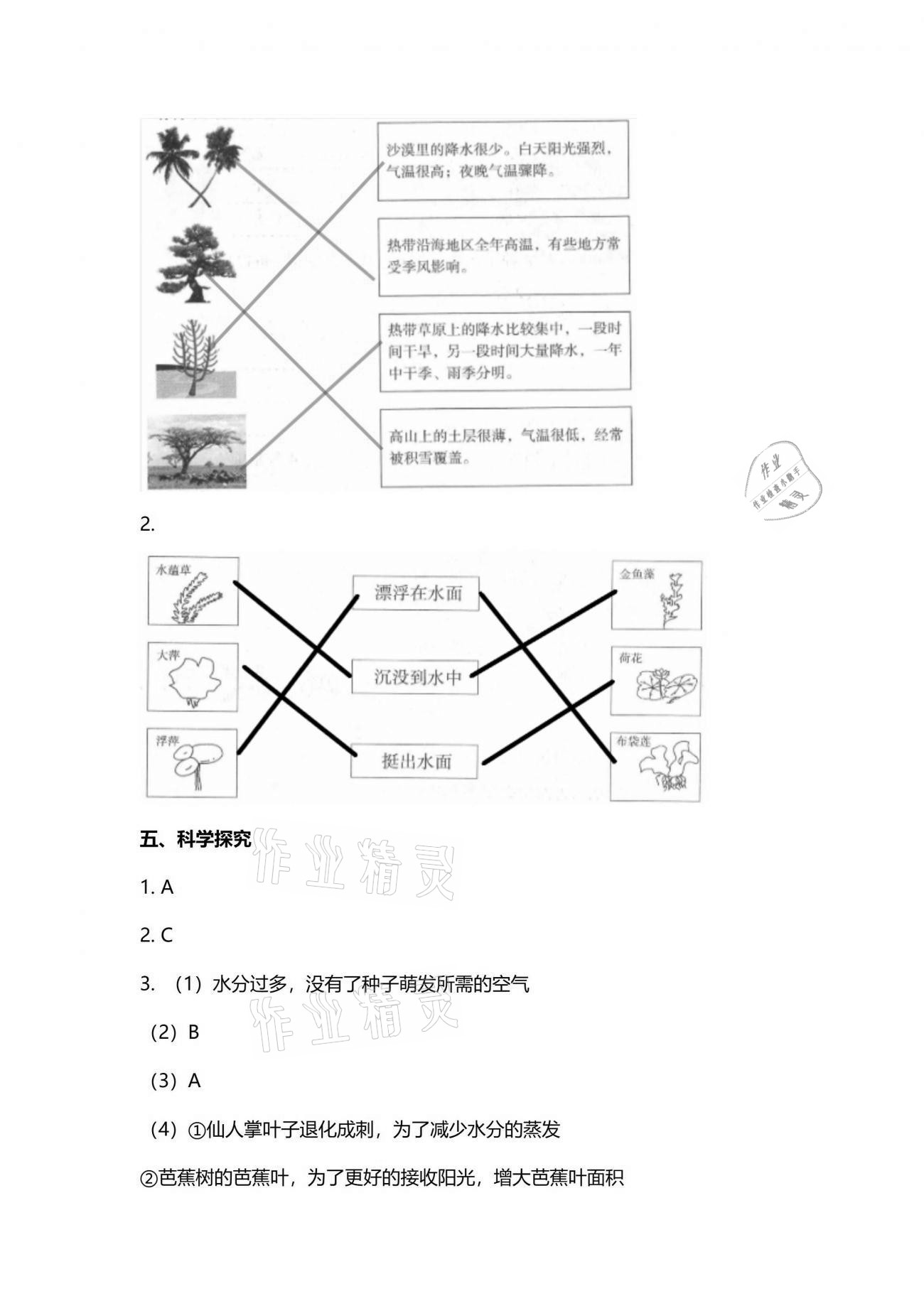 2021年云南省標(biāo)準(zhǔn)教輔同步指導(dǎo)訓(xùn)練與檢測三年級科學(xué)下冊蘇教版 參考答案第5頁