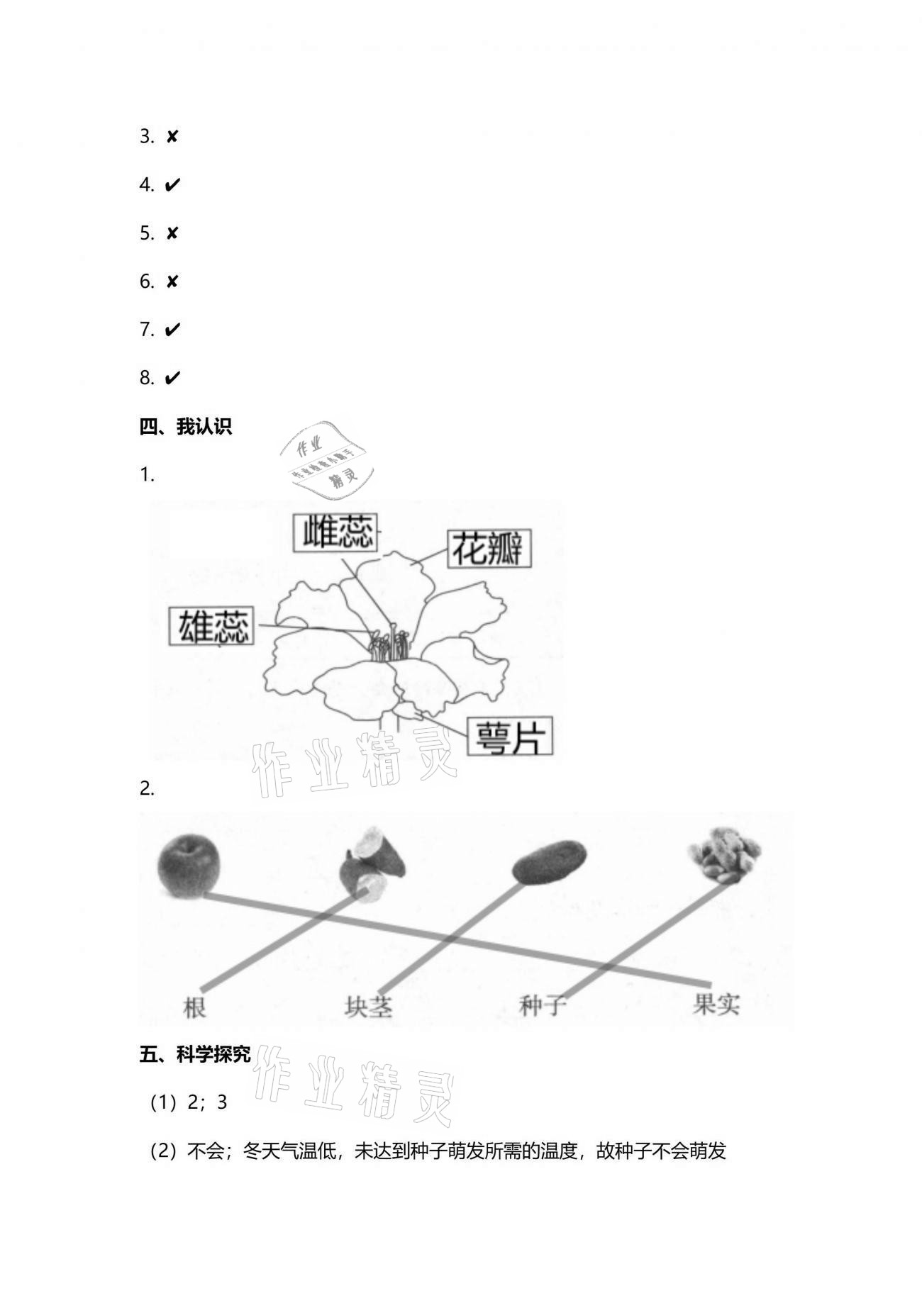 2021年云南省標準教輔同步指導訓練與檢測三年級科學下冊蘇教版 參考答案第2頁