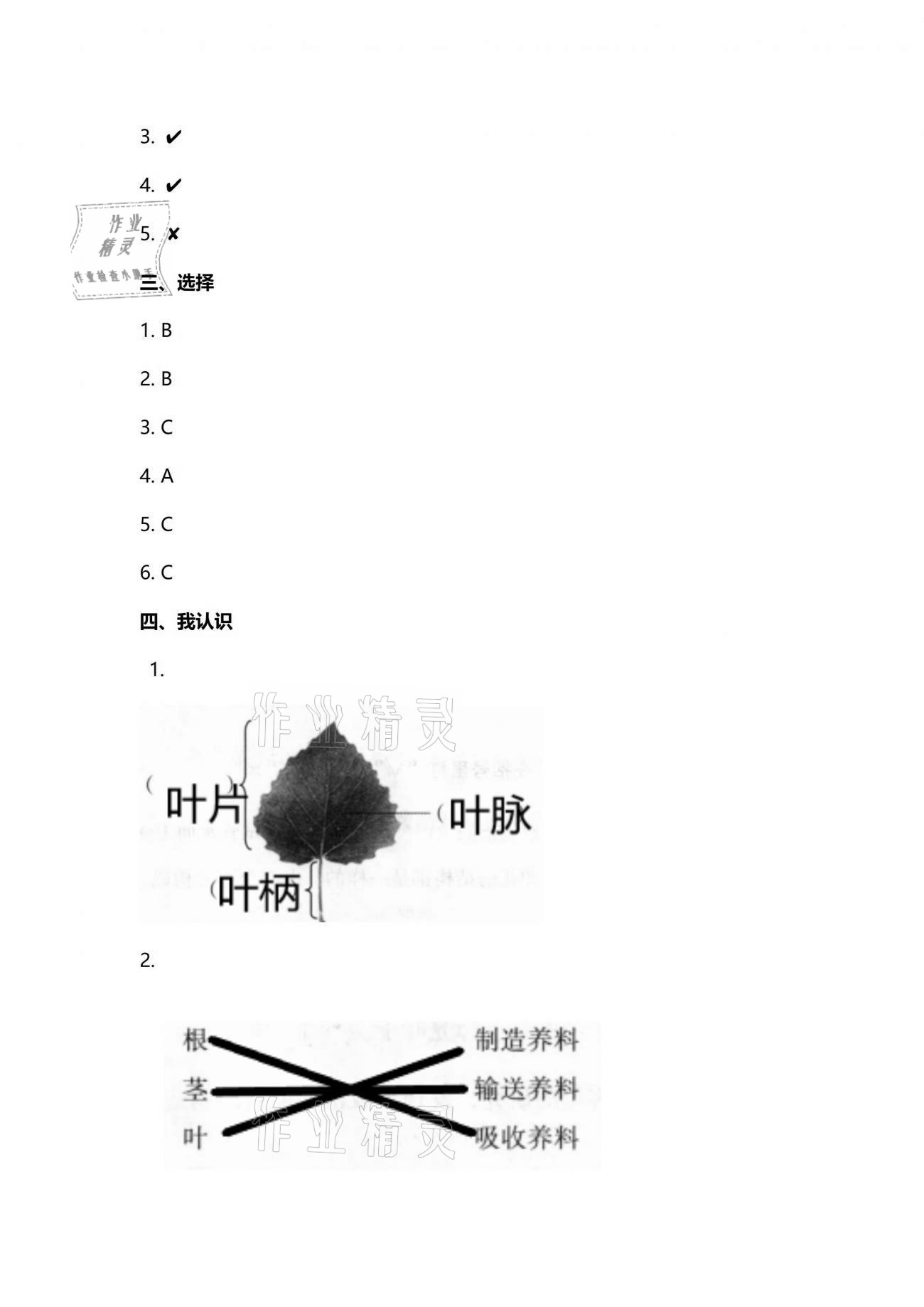 2021年云南省標(biāo)準(zhǔn)教輔同步指導(dǎo)訓(xùn)練與檢測(cè)三年級(jí)科學(xué)下冊(cè)蘇教版 參考答案第3頁(yè)