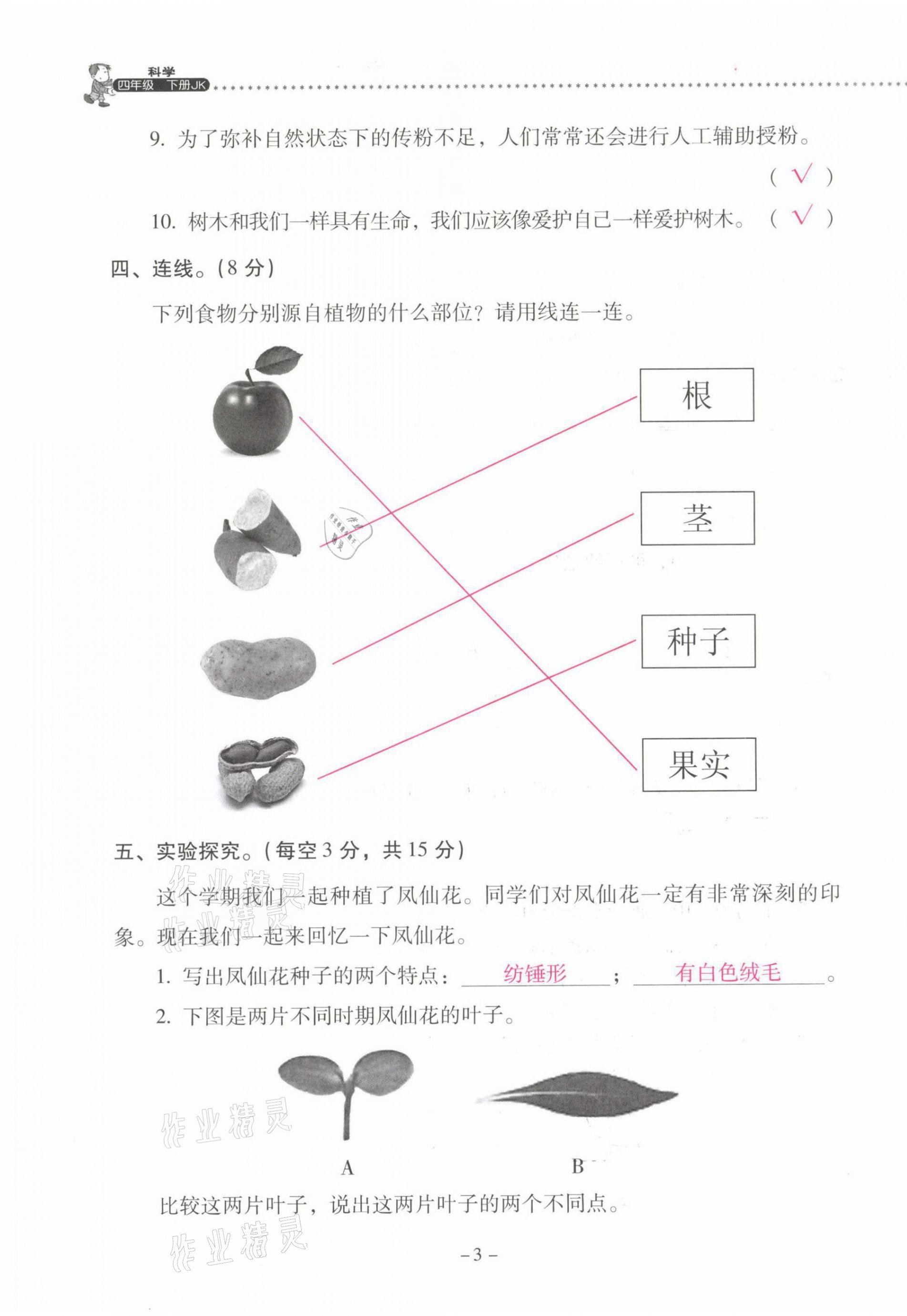 2021年云南省标准教辅同步指导训练与检测四年级科学下册教科版 第3页