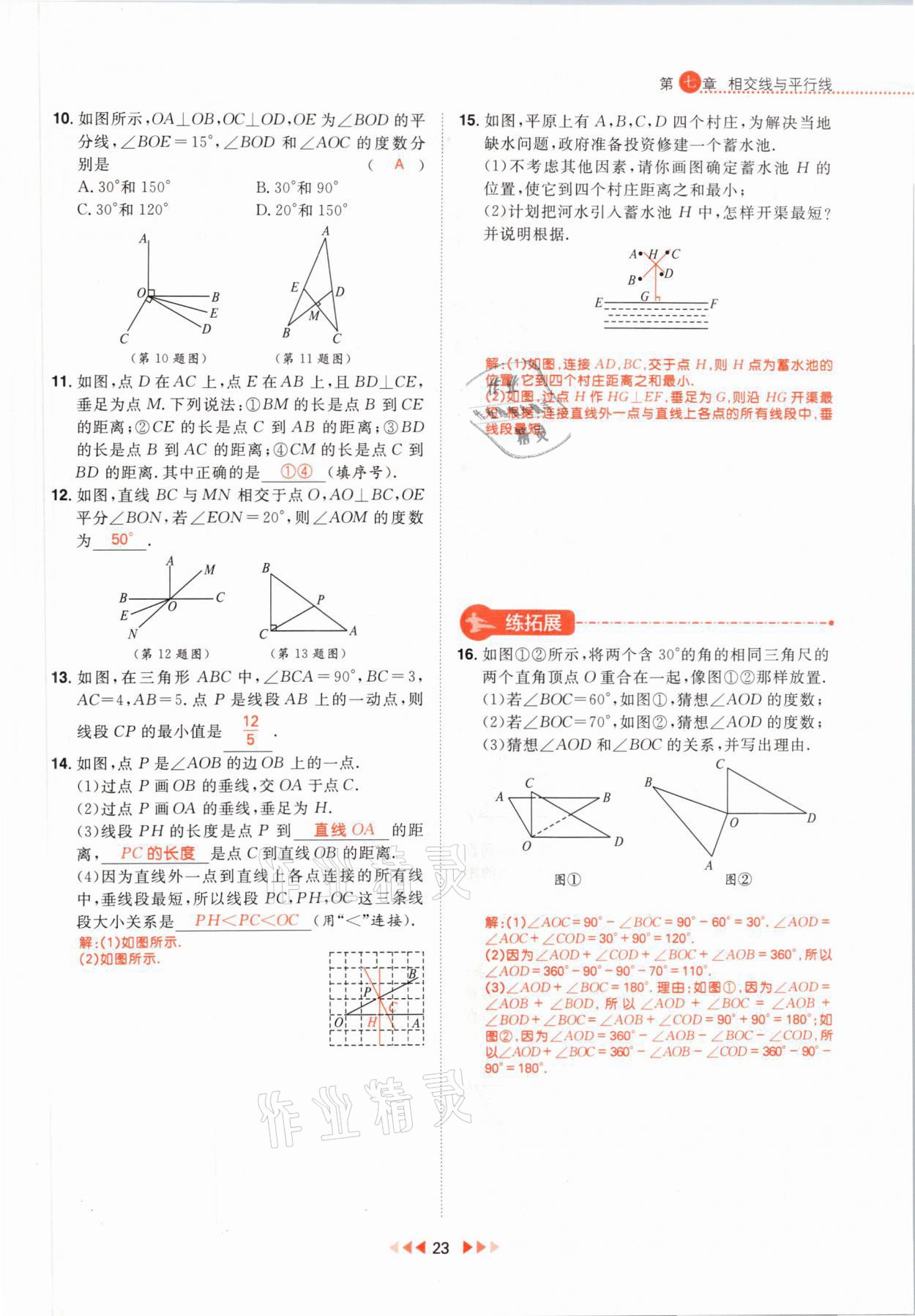 2021年练出好成绩七年级数学下册冀教版河北专版 参考答案第31页