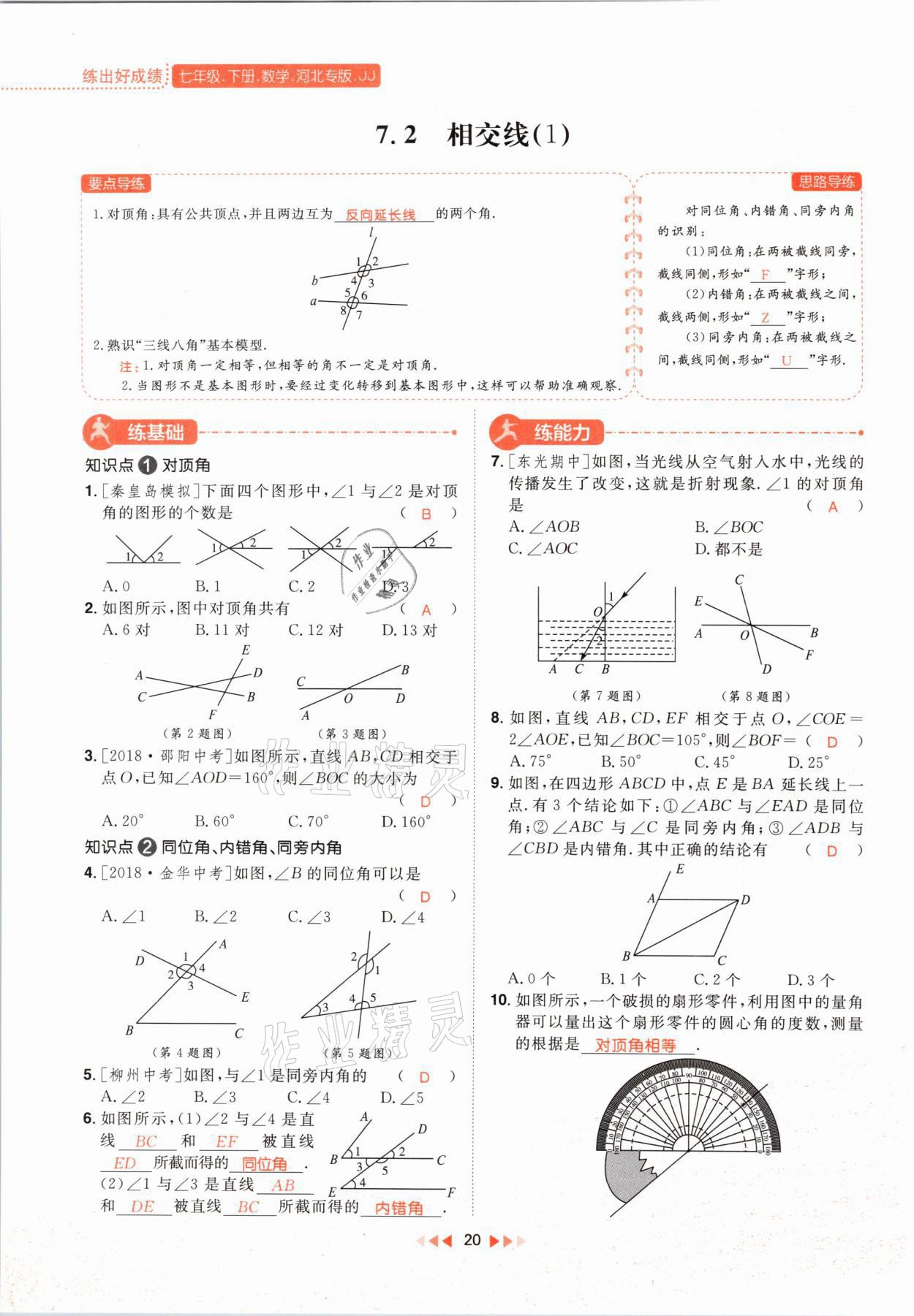 2021年练出好成绩七年级数学下册冀教版河北专版 参考答案第28页