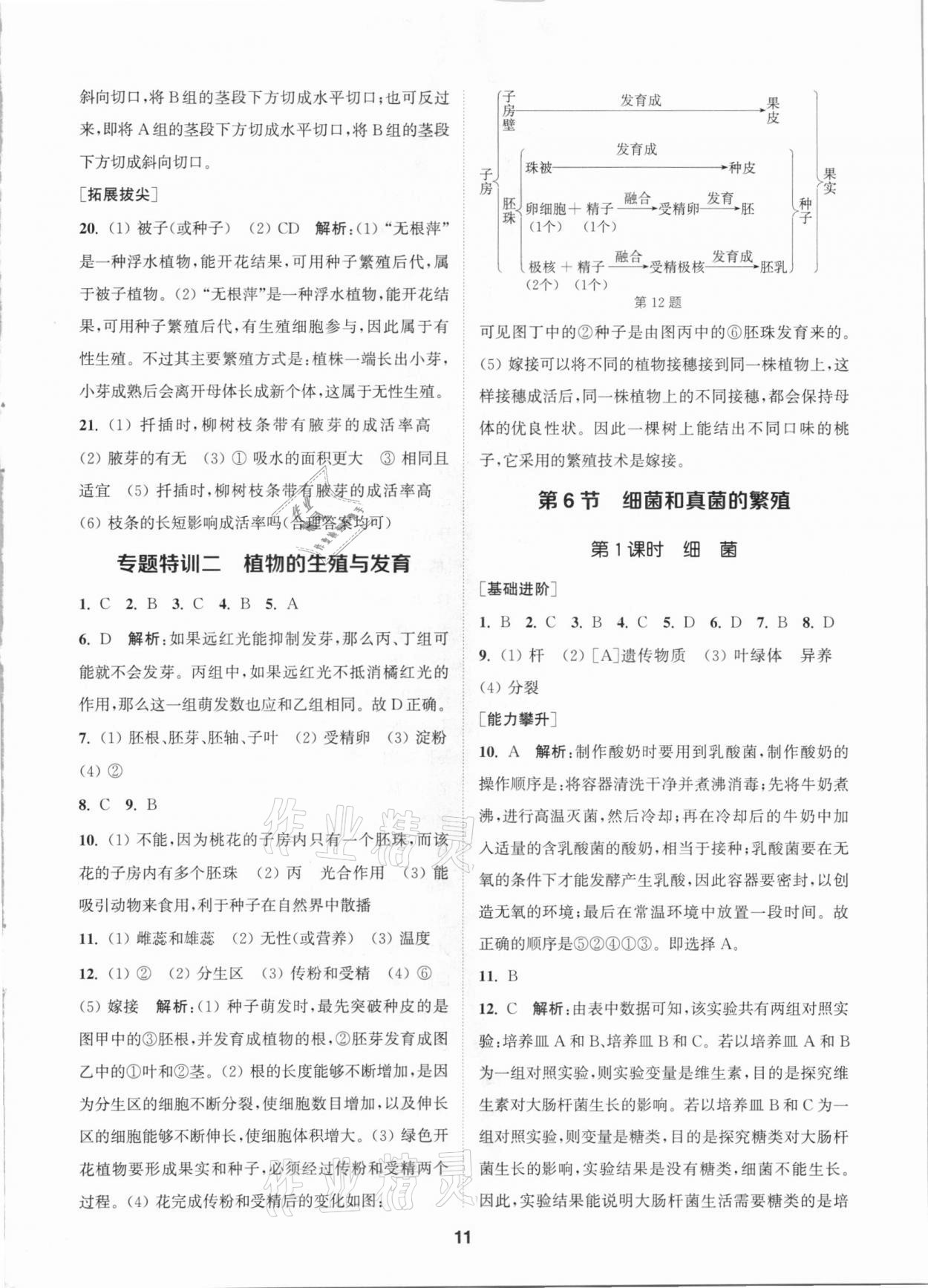 2021年拔尖特訓(xùn)七年級(jí)科學(xué)下冊(cè)浙教版 參考答案第10頁