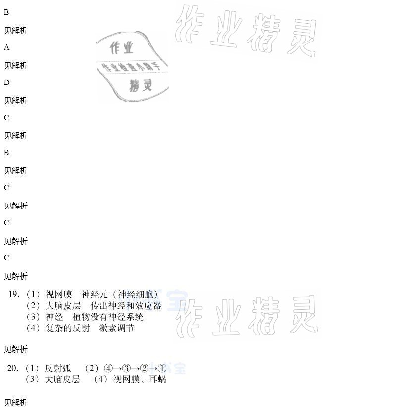 2021年同步精練七年級生物學(xué)下冊人教版廣東人民出版社 參考答案第81頁