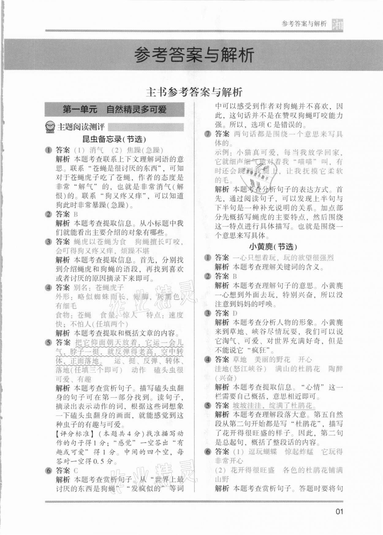 2021年木頭馬閱讀力測評三年級語文人教版基礎篇B版湖南專版 參考答案第1頁