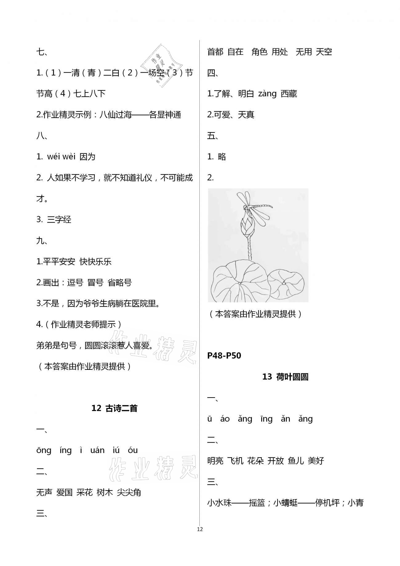 13 荷葉圓圓 - 第12頁