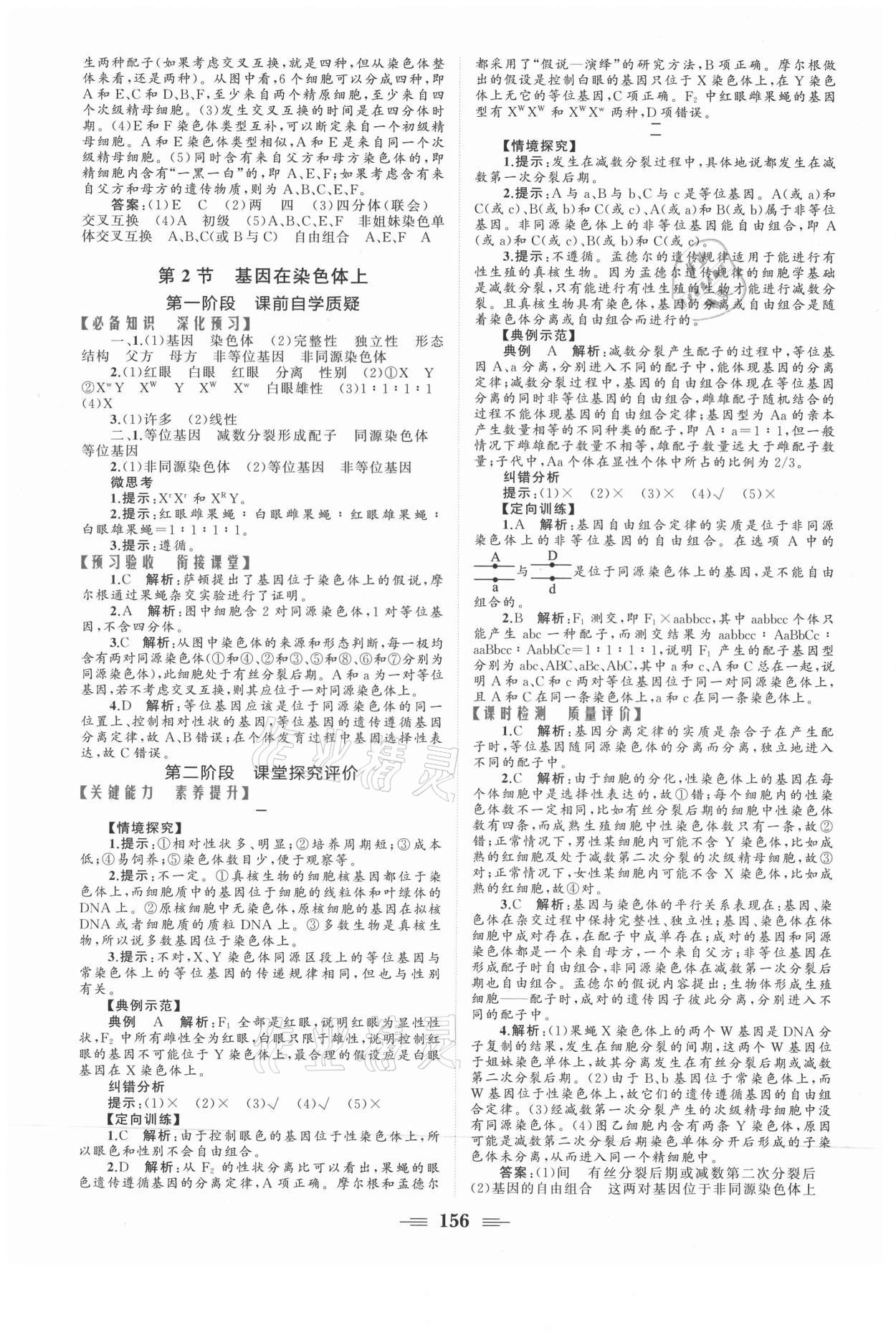 2021年點金訓練精講巧練高中生物必修2人教版 參考答案第6頁