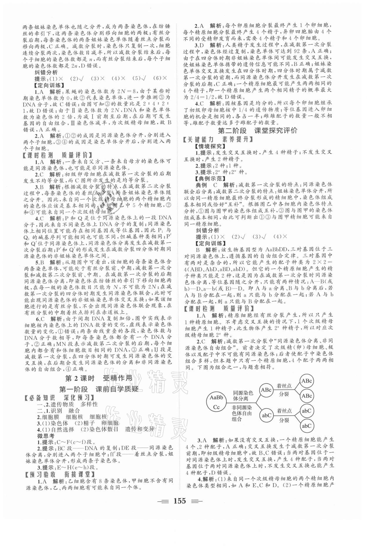 2021年點(diǎn)金訓(xùn)練精講巧練高中生物必修2人教版 參考答案第5頁