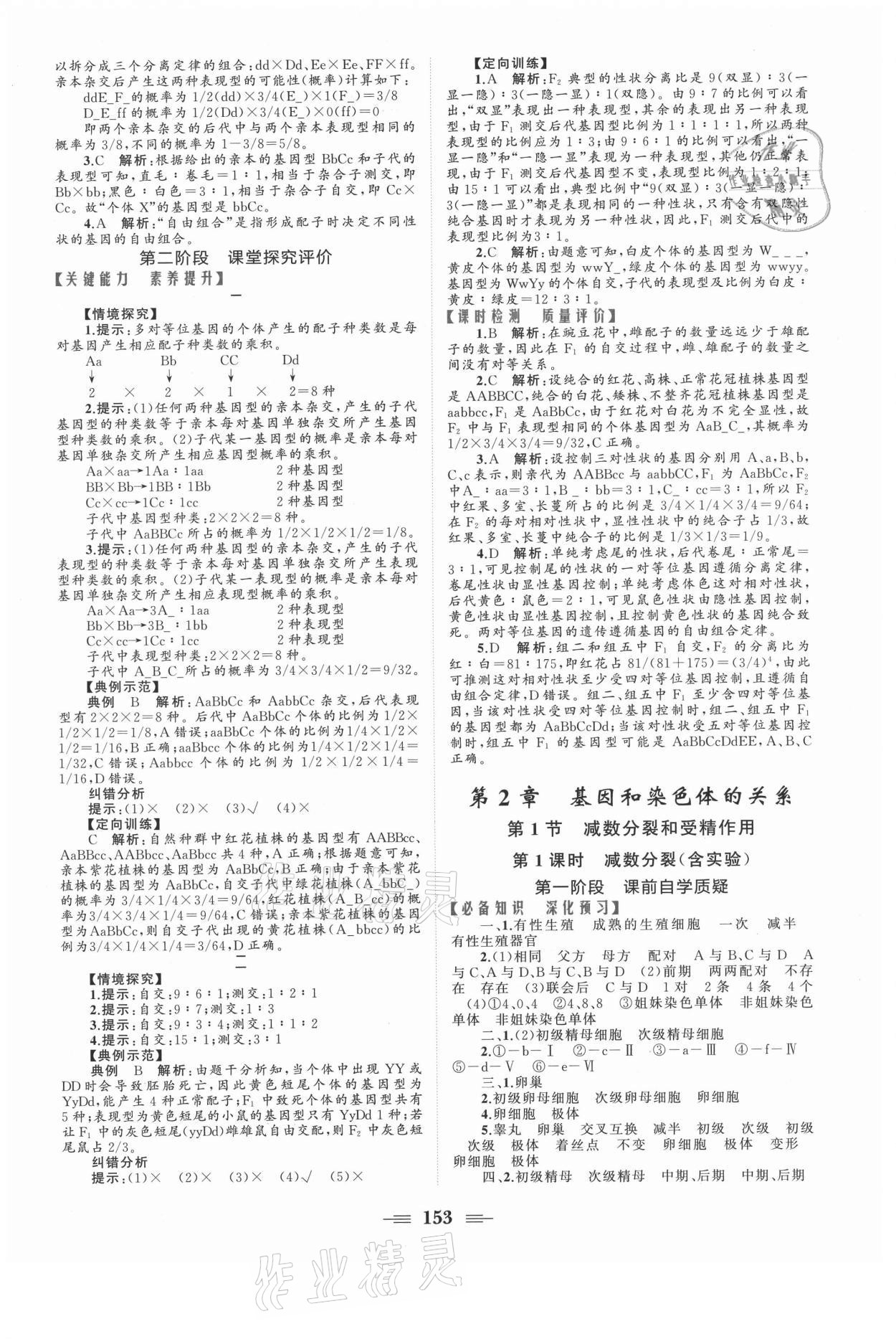 2021年點(diǎn)金訓(xùn)練精講巧練高中生物必修2人教版 參考答案第3頁(yè)