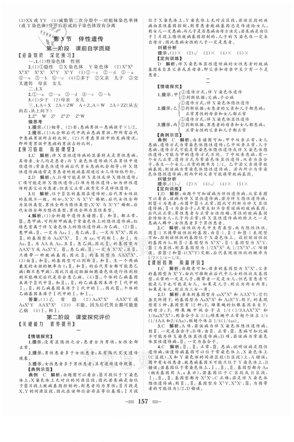 2021年點金訓(xùn)練精講巧練高中生物必修2人教版 參考答案第7頁