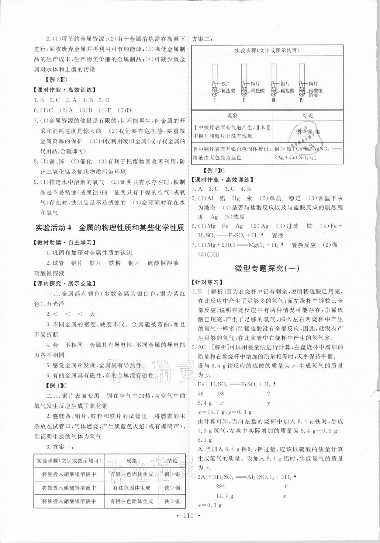 2021年能力培养与测试九年级化学下册人教版湖南专版 第4页