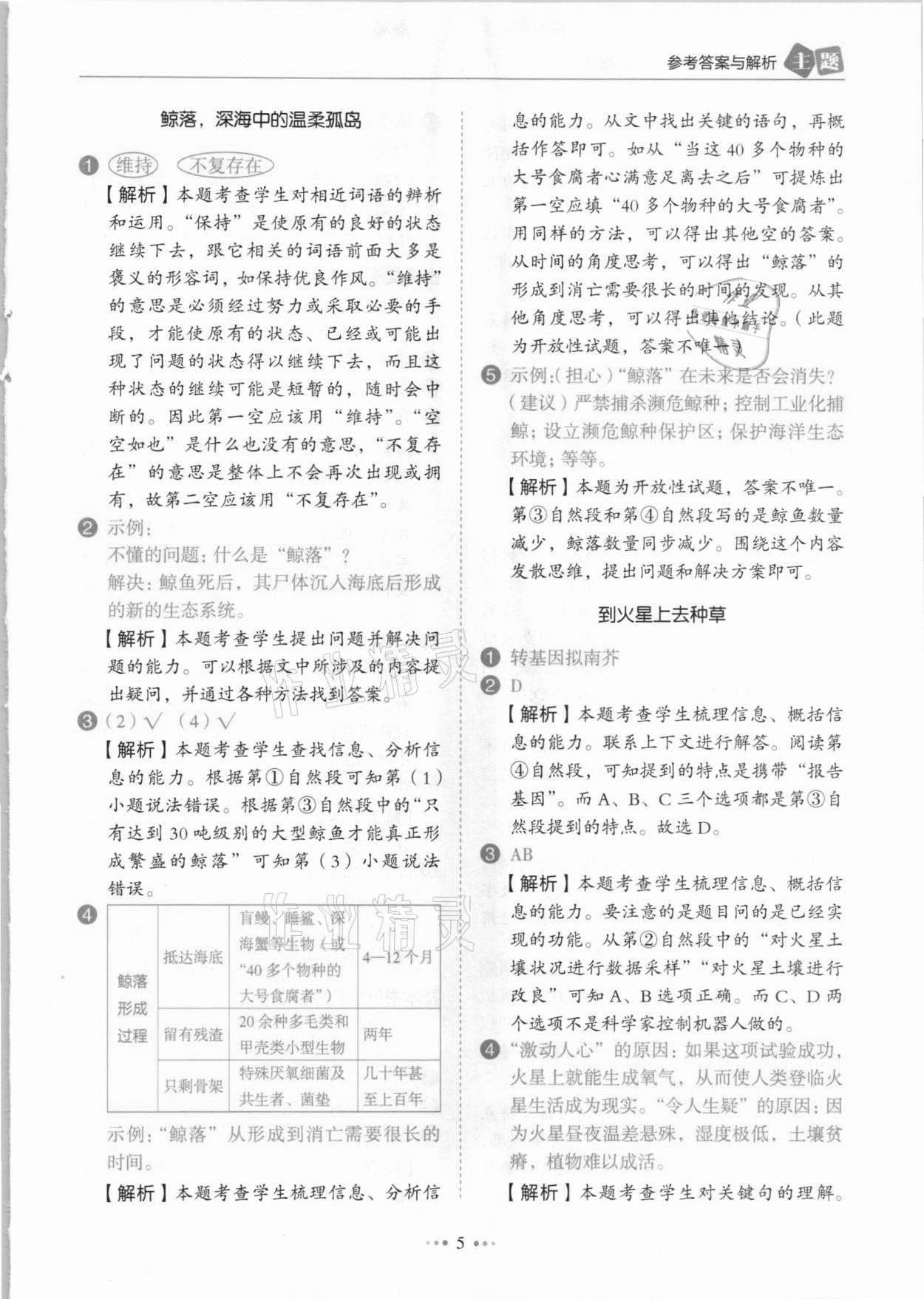 2021年小學(xué)語(yǔ)文主題閱讀訓(xùn)練100分四年級(jí)人教版B版浙江專(zhuān)版 參考答案第5頁(yè)