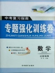 2021年中考復習指南專題強化訓練卷數學江蘇專版
