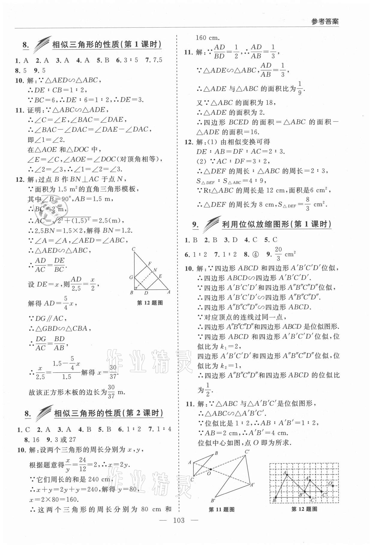 2021年新课堂同步学习与探究八年级数学下册鲁教版莱西专版54制 参考答案第10页