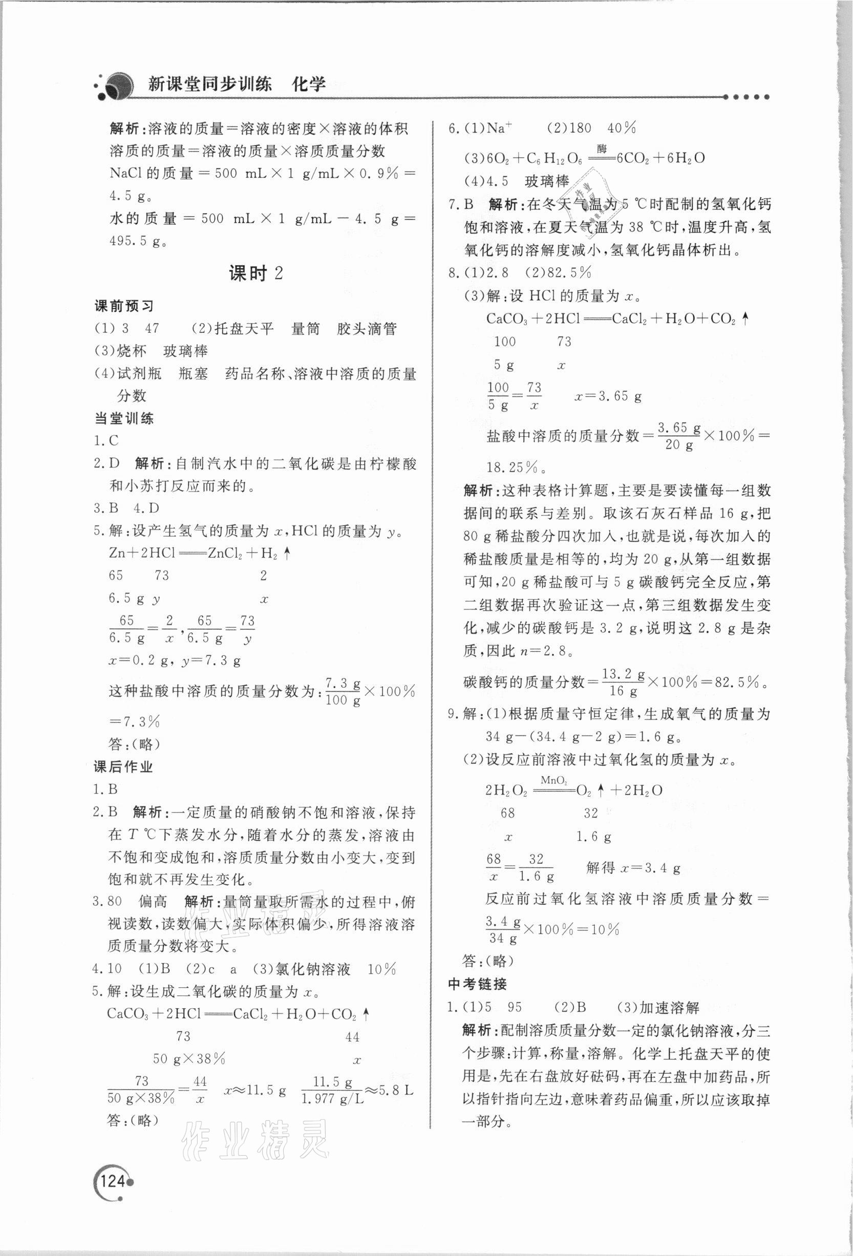 2021年新课堂同步训练九年级化学下册人教版 第6页