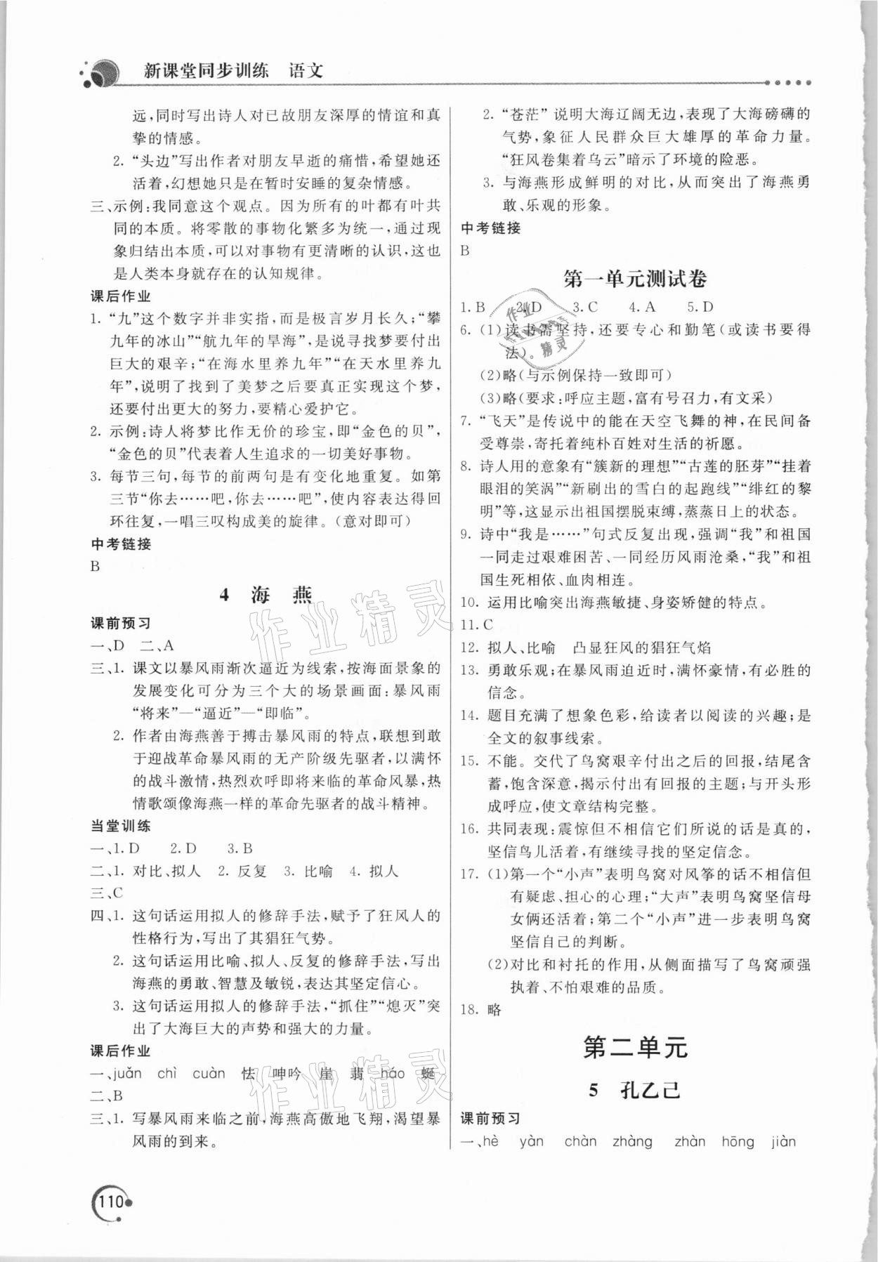 2021年新課堂同步訓(xùn)練九年級(jí)語(yǔ)文下冊(cè)人教版 第2頁(yè)