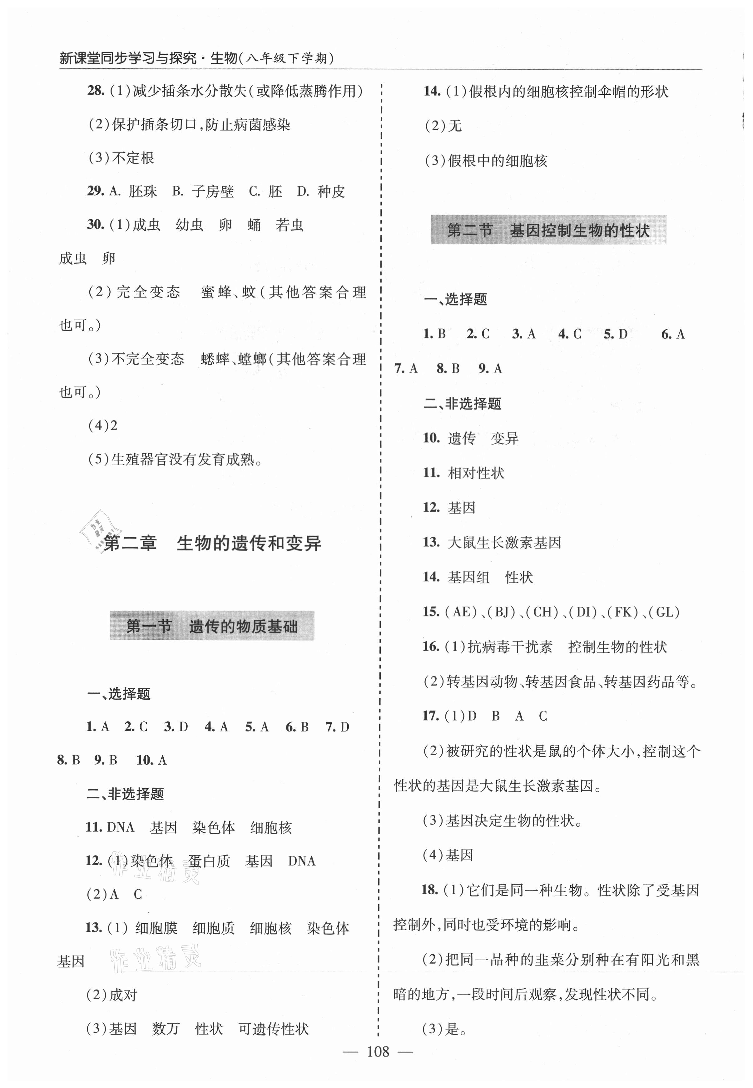 2021年新课堂同步学习与探究八年级生物下册鲁科版莱西专版54制 参考答案第3页