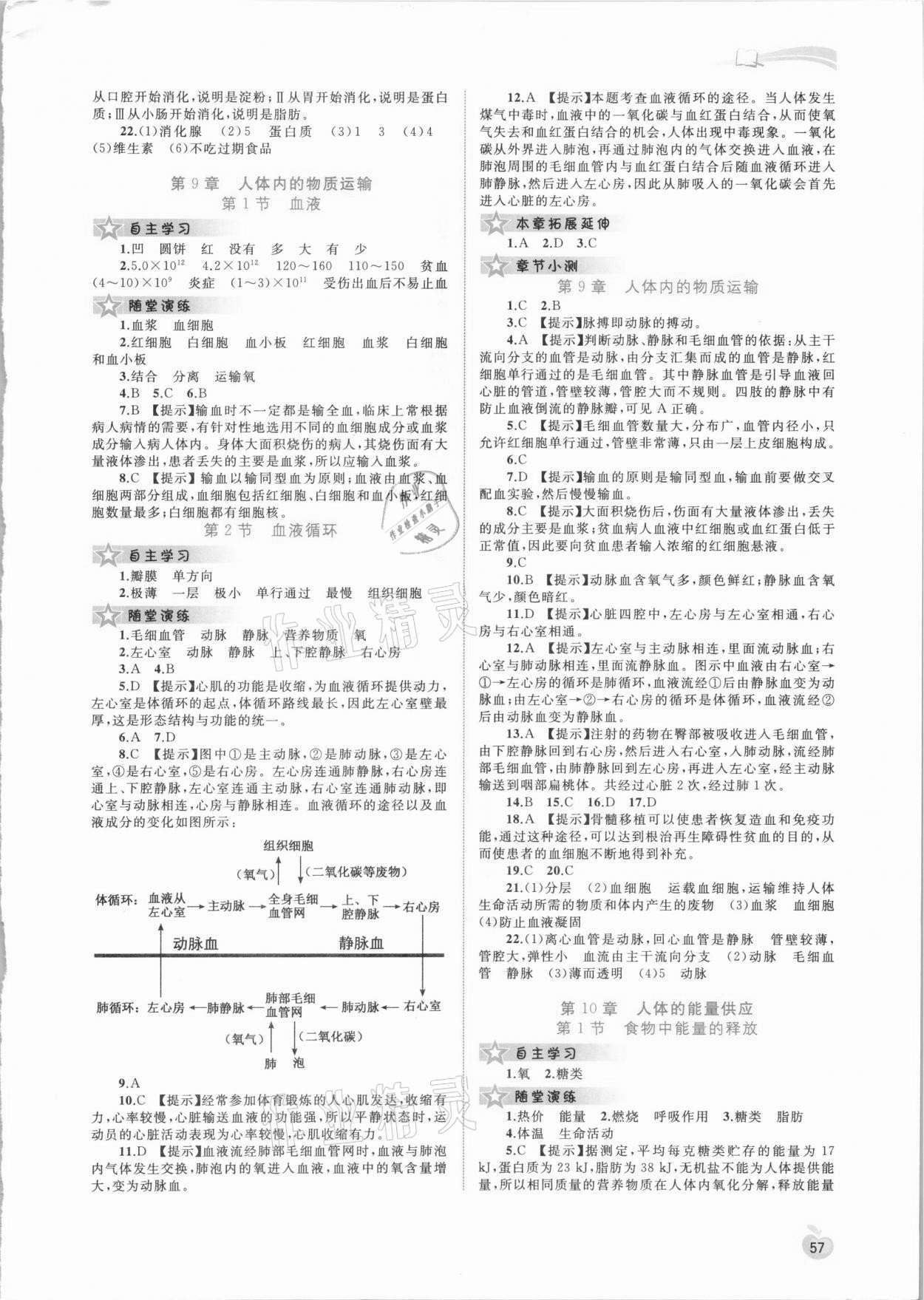 2021年新課程學習與測評同步學習七年級生物下冊北師大版 參考答案第2頁