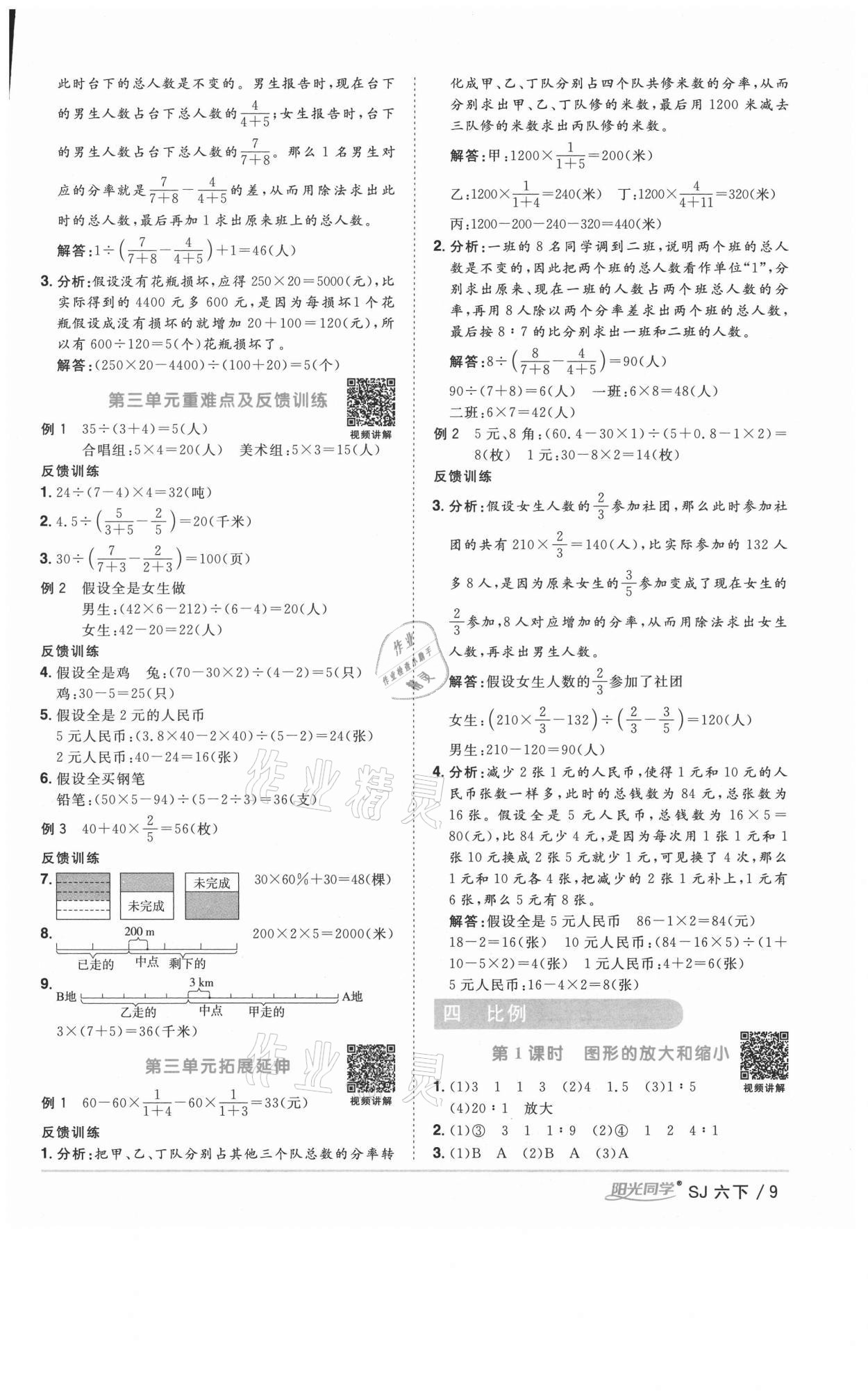 2021年阳光同学课时优化作业六年级数学下册苏教版淮宿连专版 参考答案第9页