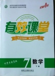 2021年有效課堂七年級(jí)數(shù)學(xué)下冊(cè)人教版