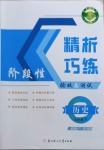 2021年精析巧練七年級(jí)歷史下冊(cè)人教版