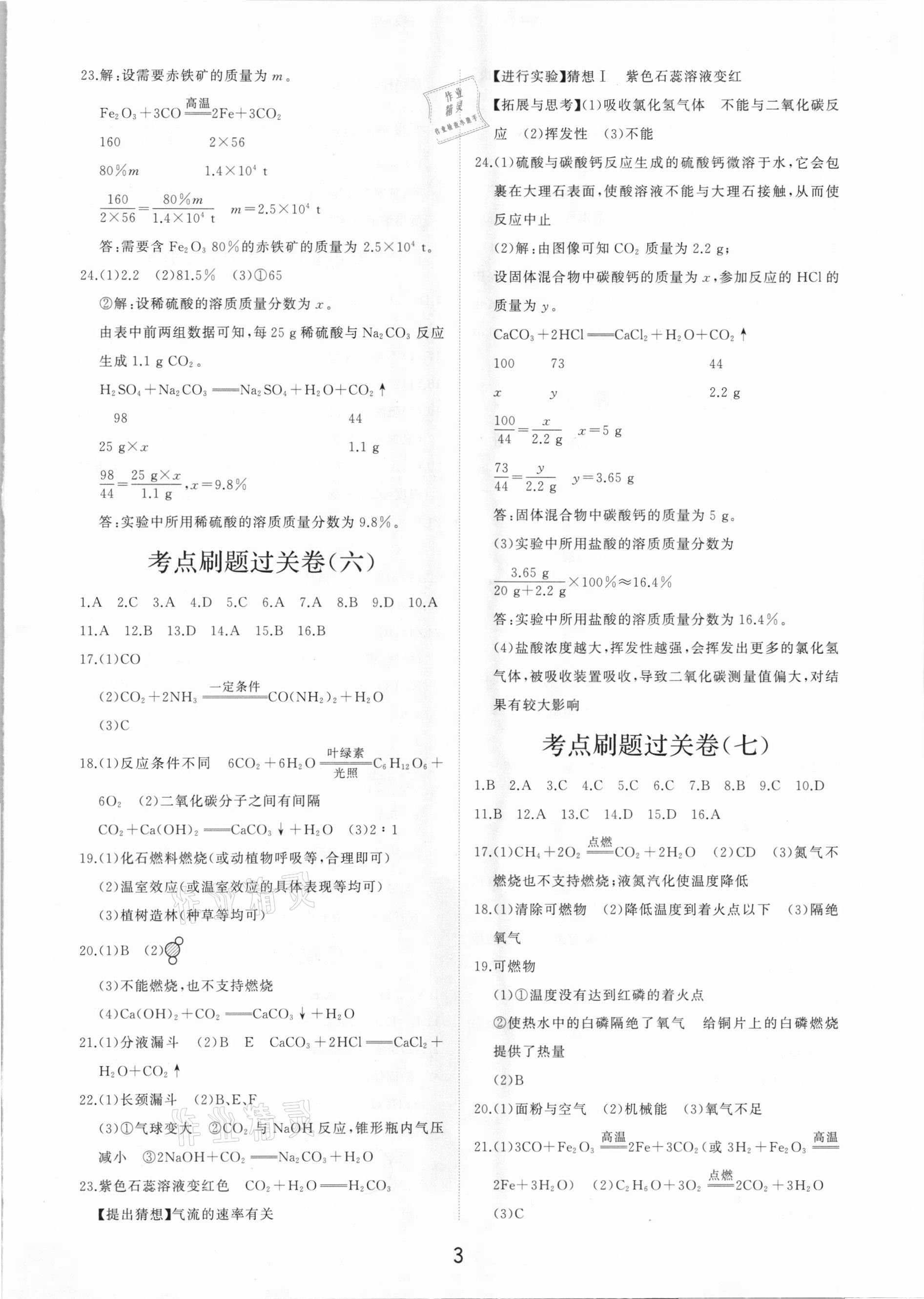 2021年初中總復(fù)習(xí)手冊分層專題卷化學(xué) 第3頁