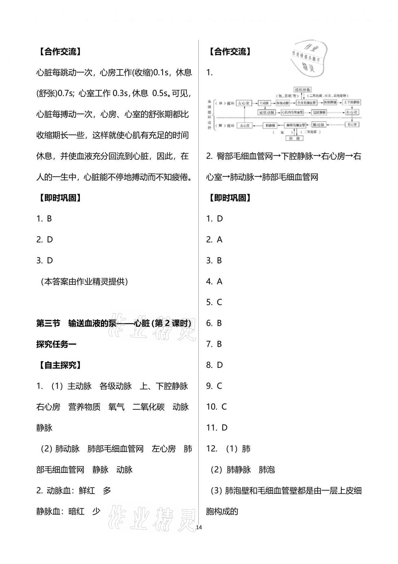 2021年自主學(xué)習(xí)指導(dǎo)課程與測試七年級生物學(xué)下冊人教版 參考答案第14頁