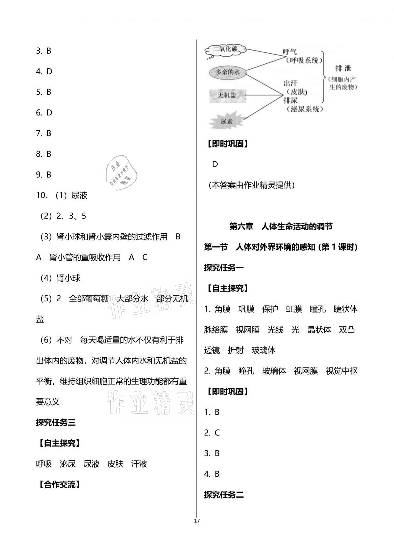 2021年自主學(xué)習(xí)指導(dǎo)課程與測試七年級生物學(xué)下冊人教版 參考答案第17頁