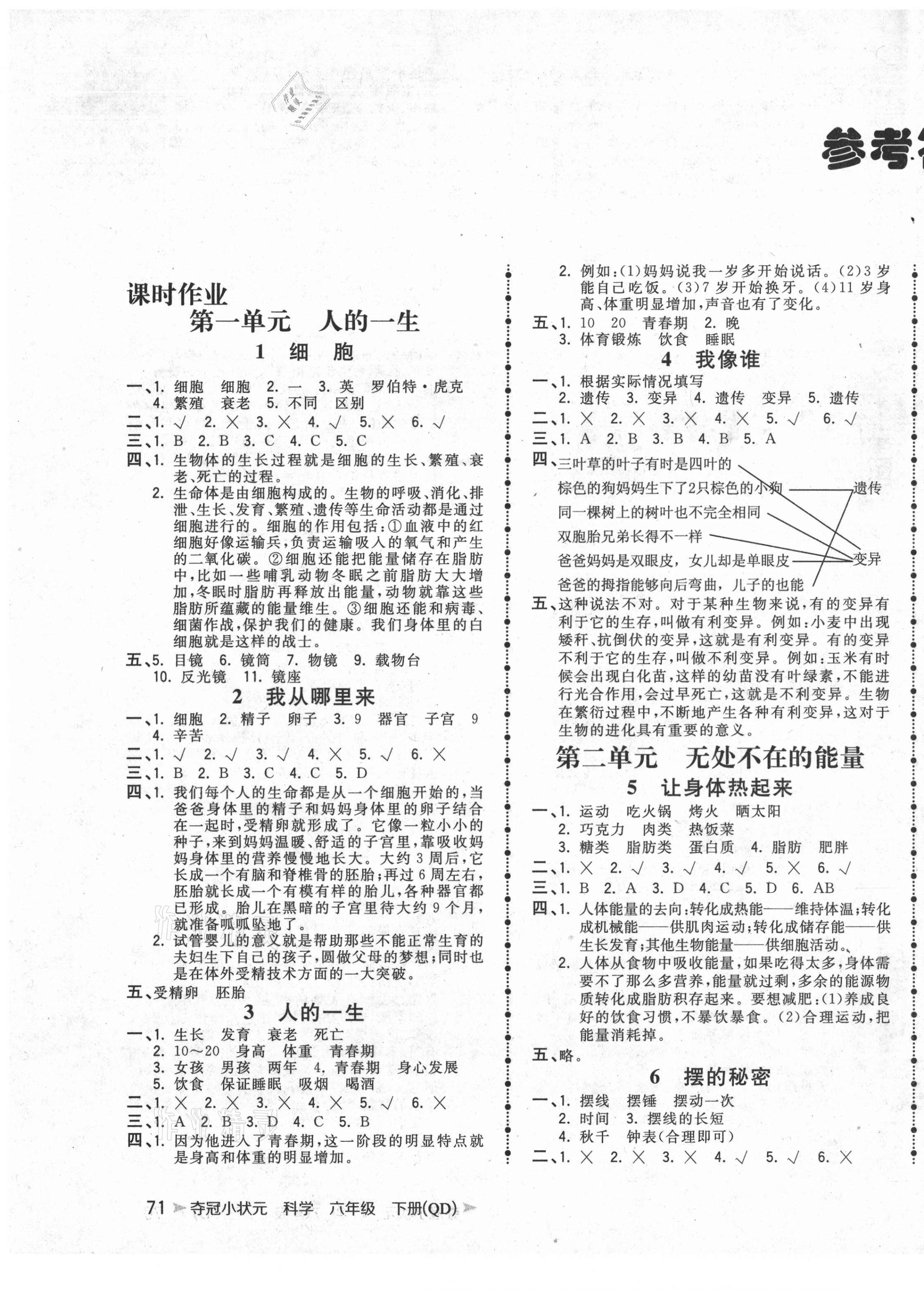 2021年奪冠小狀元課時作業(yè)本六年級科學(xué)下冊青島版 參考答案第1頁