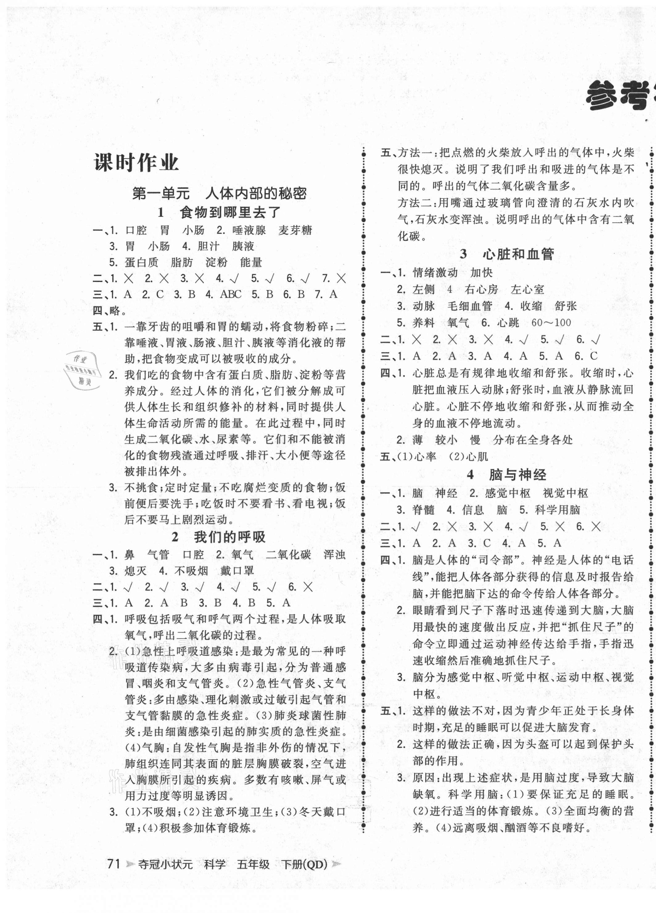 2021年夺冠小状元课时作业本五年级科学下册青岛版 参考答案第1页