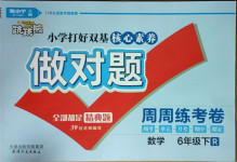 2021年做對題六年級數學下冊人教版
