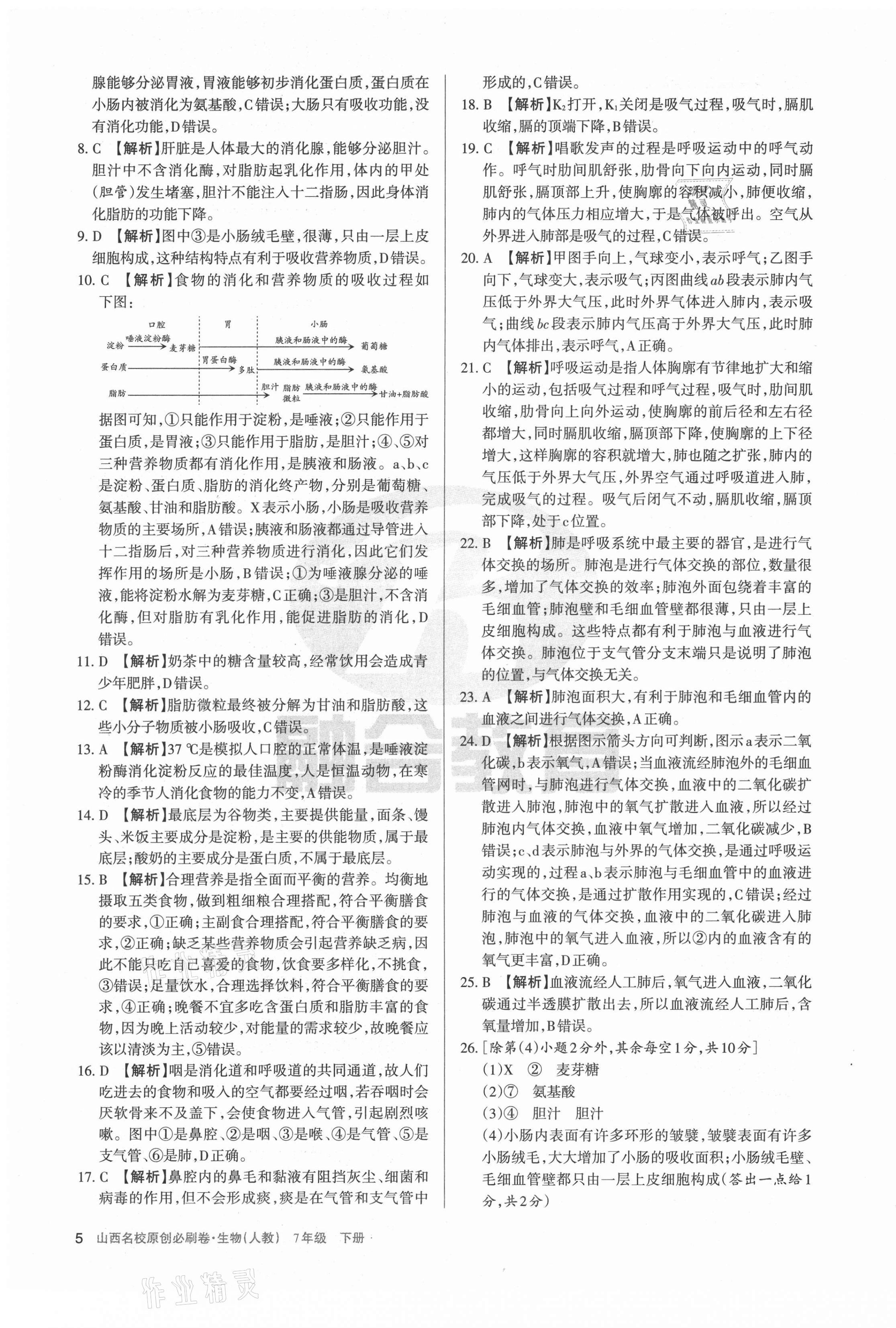 2021年山西名校原創(chuàng)必刷卷七年級(jí)生物下冊人教版 第5頁