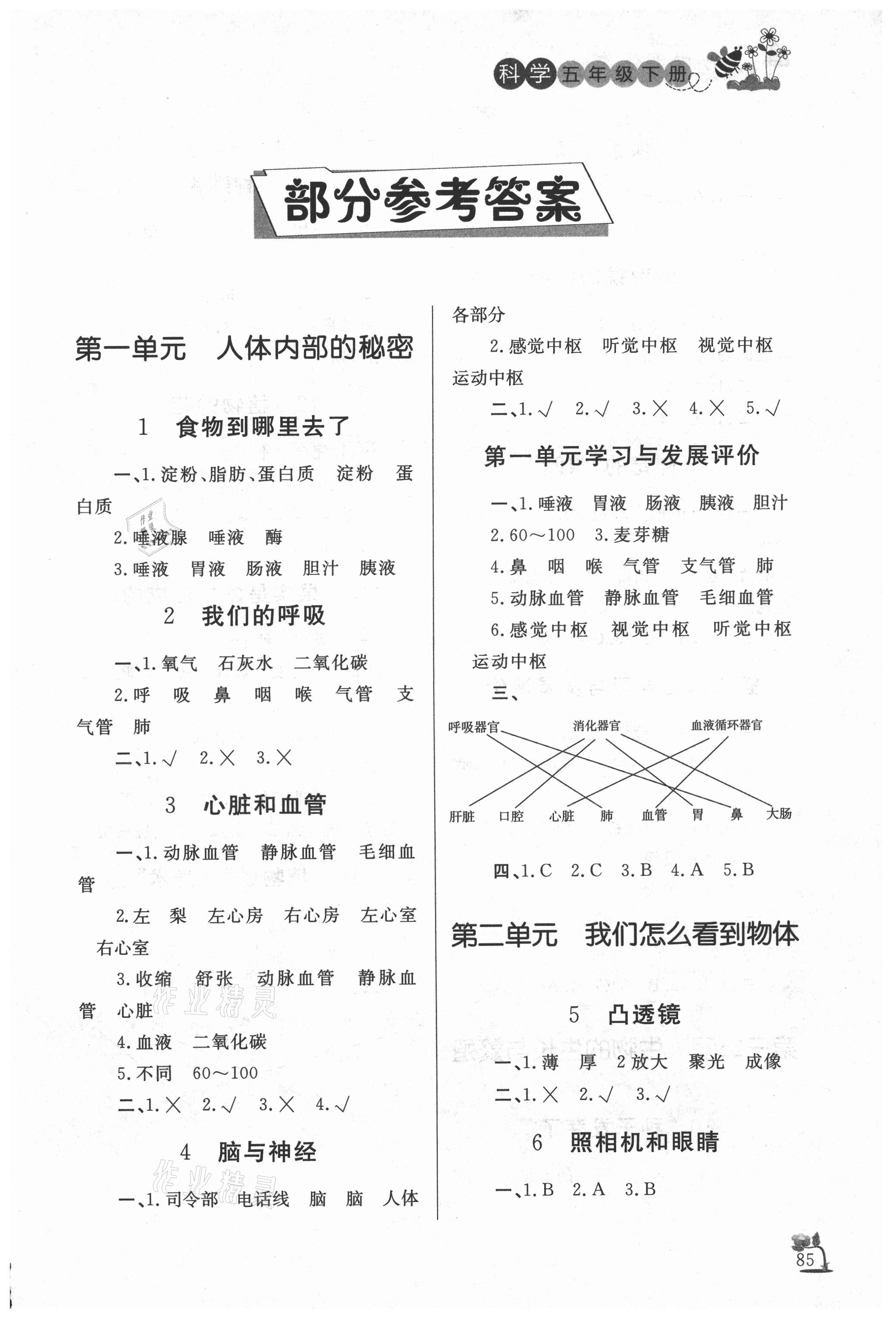 2021年课外作业五年级数学下册青岛版东营专版 第1页