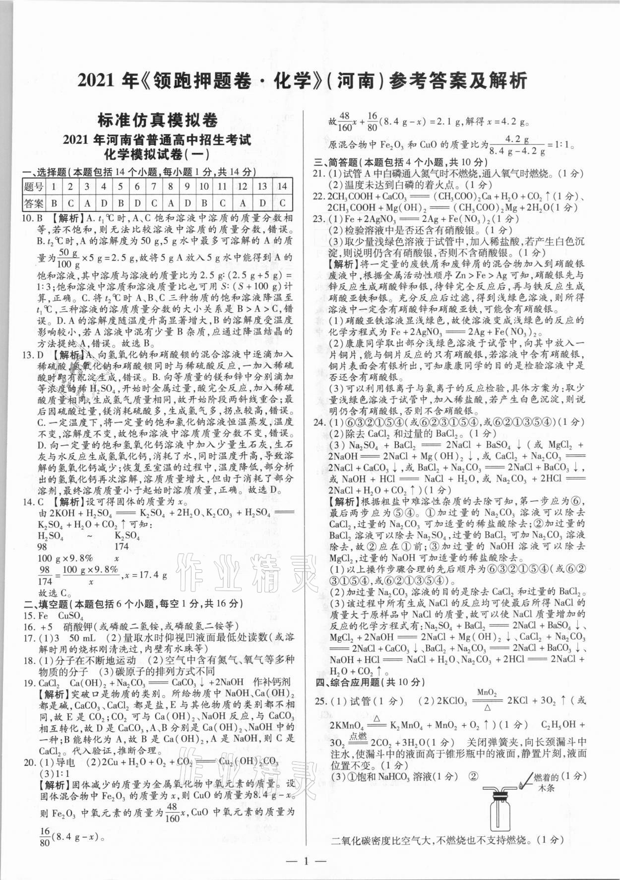 2021年領跑押題卷化學河南專版 第1頁