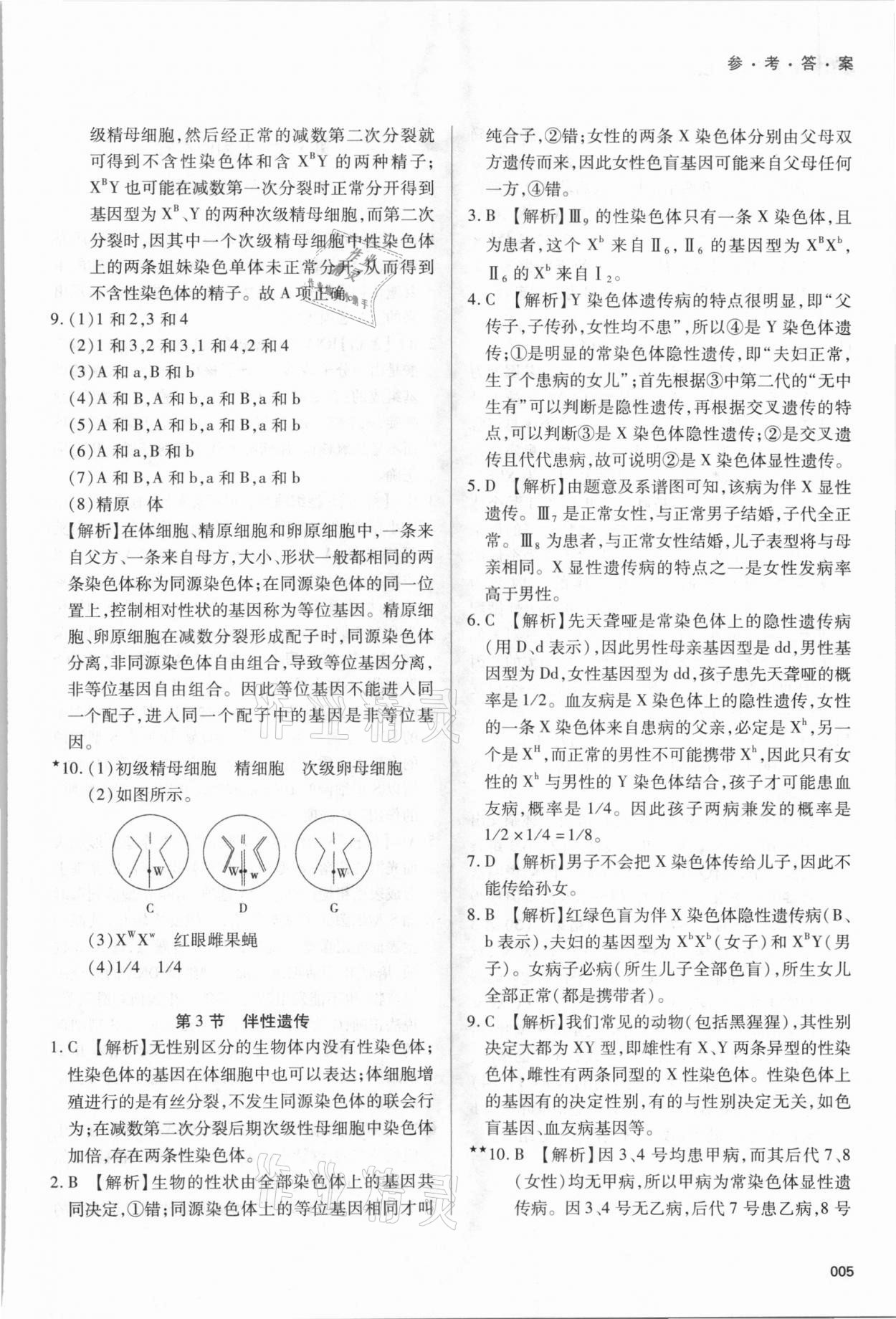 2021年學(xué)習(xí)質(zhì)量監(jiān)測高中生物學(xué)必修2人教版 參考答案第5頁