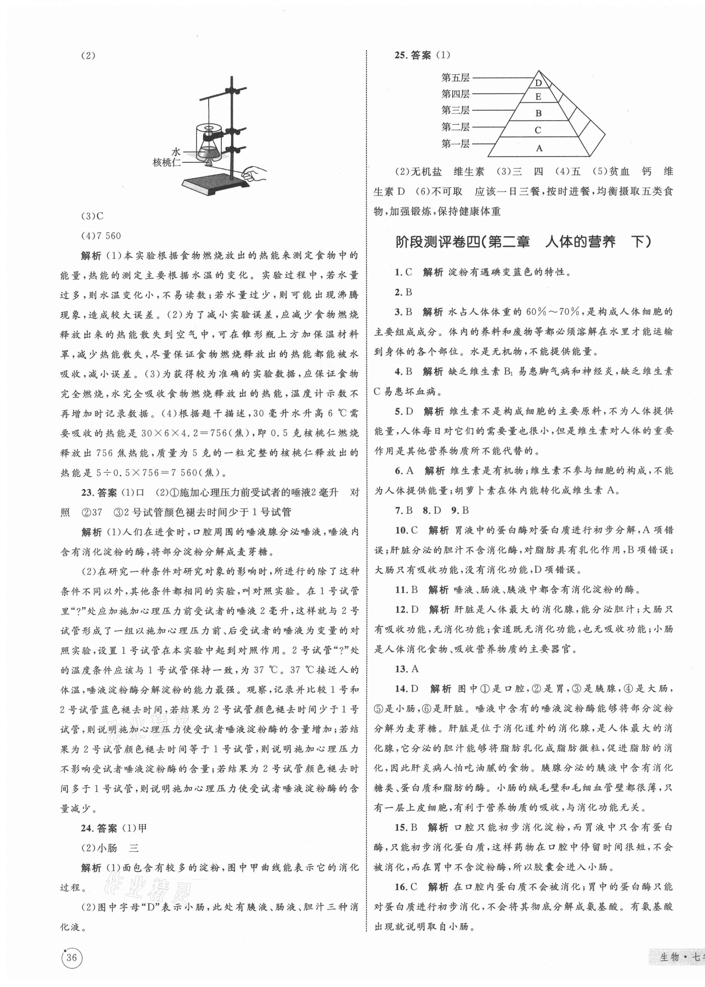 2021年優化設計單元測試卷七年級生物下冊人教版 第3頁