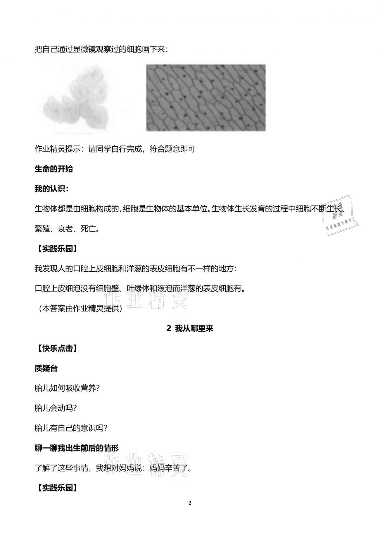 2021年新課堂同步學(xué)習(xí)與探究六年級科學(xué)下冊青島版金鄉(xiāng)專版 第2頁