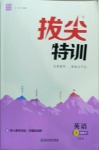 2021年拔尖特訓九年級英語下冊人教版