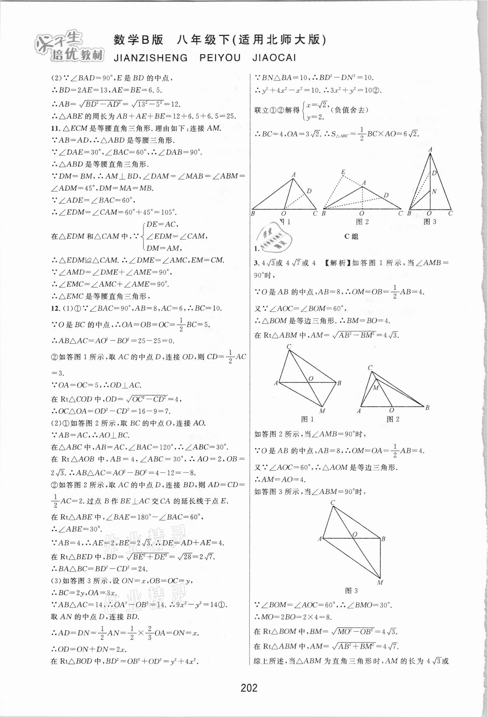 2021年尖子生培優(yōu)教材八年級(jí)數(shù)學(xué)下冊(cè)北師大版B版 第4頁(yè)